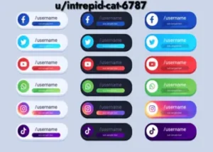 u/intrepid-cat-6787